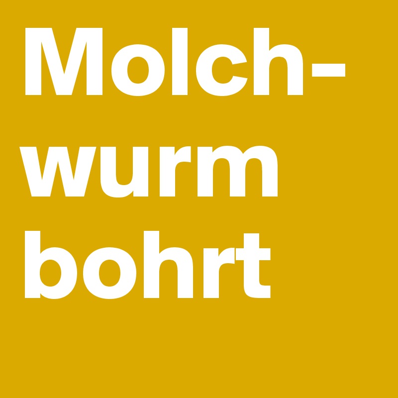 Molch-
wurm bohrt
