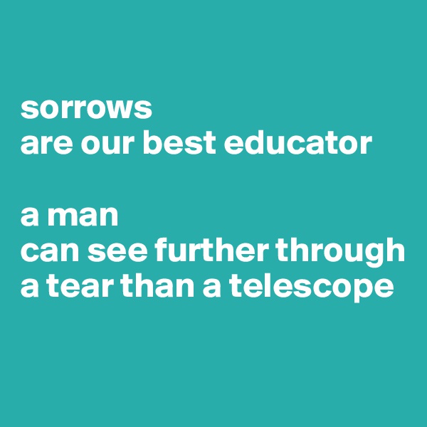 

sorrows 
are our best educator

a man 
can see further through a tear than a telescope

