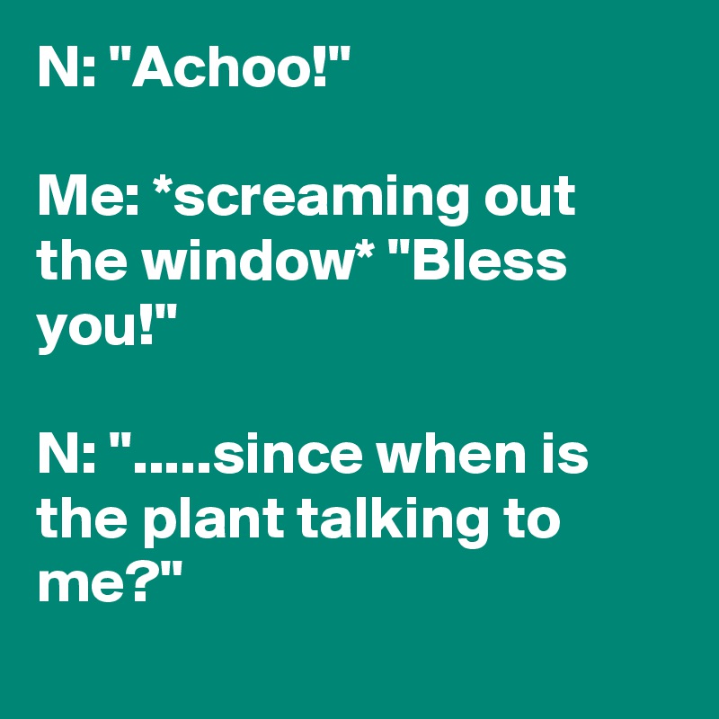 N: "Achoo!"

Me: *screaming out the window* "Bless you!"

N: ".....since when is the plant talking to me?"
