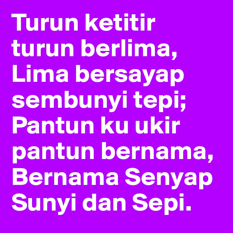 Turun ketitir turun berlima,
Lima bersayap sembunyi tepi;
Pantun ku ukir pantun bernama,
Bernama Senyap Sunyi dan Sepi.