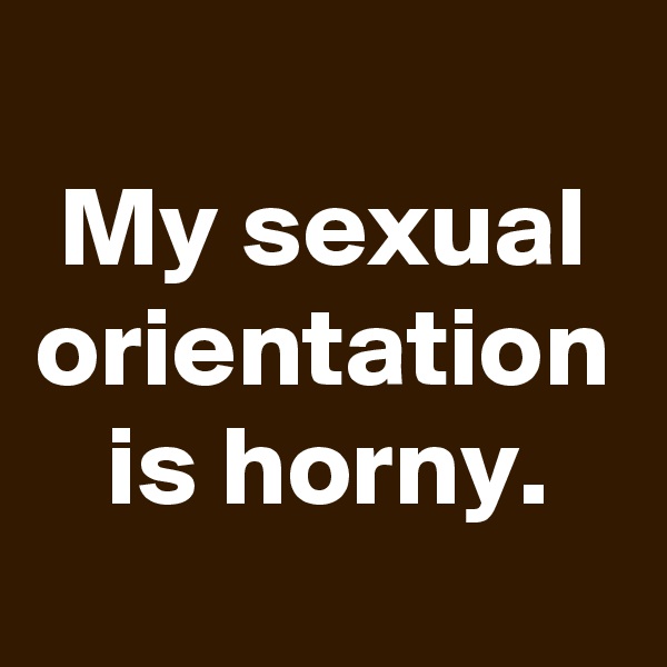 My sexual orientation is horny.