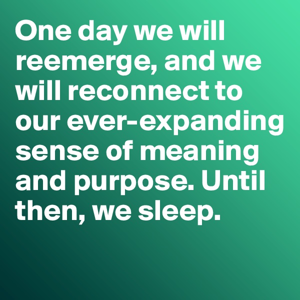 One day we will reemerge, and we will reconnect to our ever-expanding sense of meaning and purpose. Until then, we sleep. 
