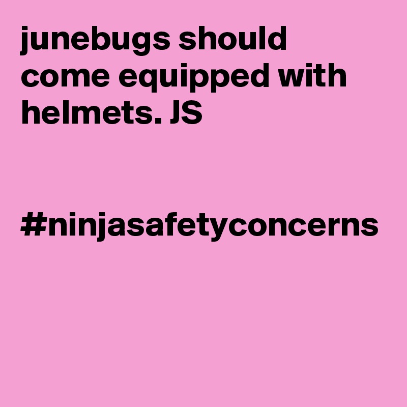 junebugs should come equipped with helmets. JS


#ninjasafetyconcerns