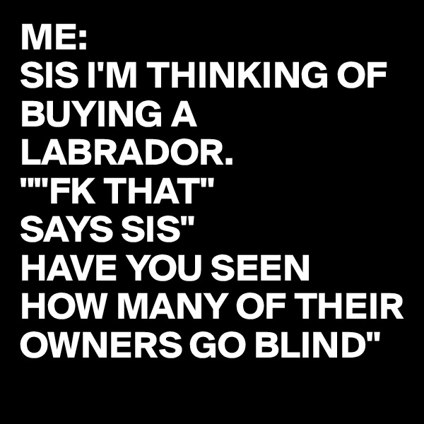 ME:
SIS I'M THINKING OF BUYING A LABRADOR. 
""FK THAT"
SAYS SIS" 
HAVE YOU SEEN HOW MANY OF THEIR OWNERS GO BLIND"
