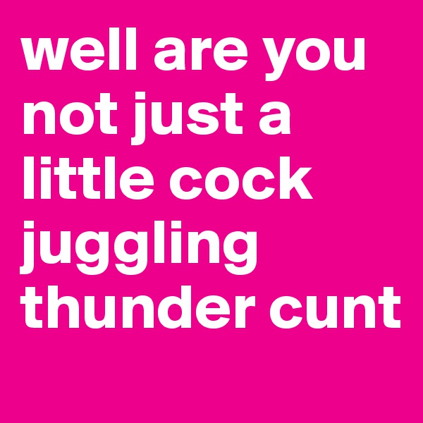 well are you not just a little cock juggling thunder cunt
