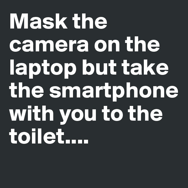 Mask the camera on the laptop but take the smartphone with you to the toilet.... 
