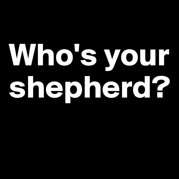 
Who's your shepherd?
