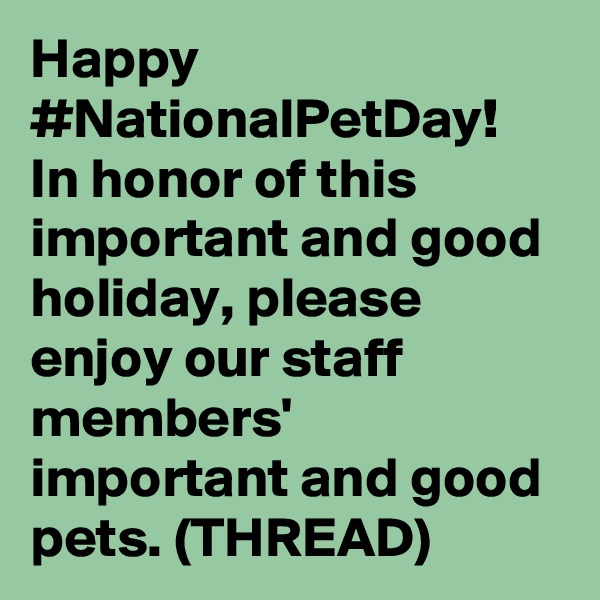 Happy #NationalPetDay! In honor of this important and good holiday, please enjoy our staff members' important and good pets. (THREAD)