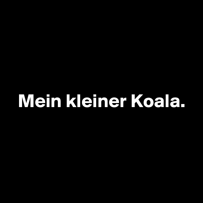 



  Mein kleiner Koala.



