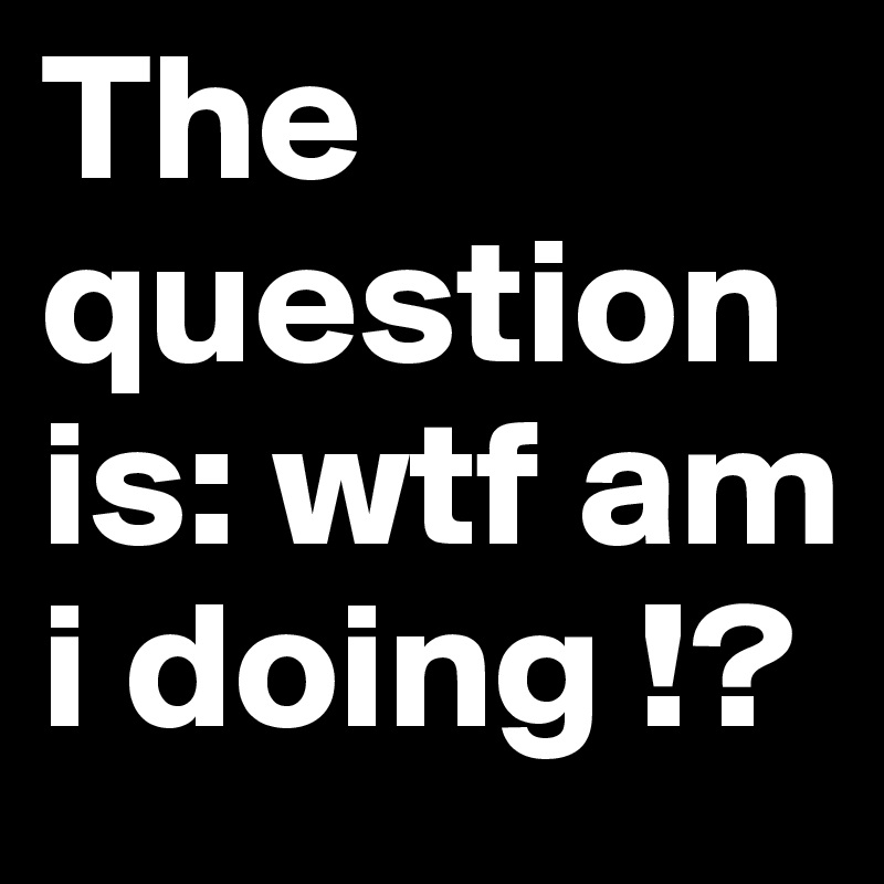 The question is: wtf am i doing !?