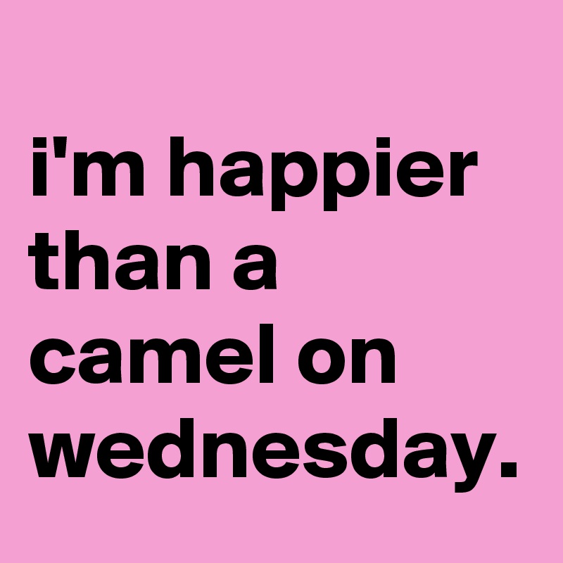 
i'm happier than a camel on wednesday.