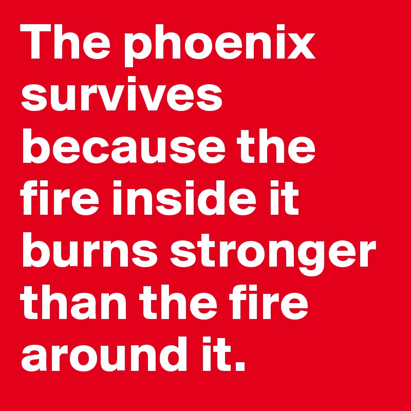 The phoenix survives because the fire inside it burns stronger than the fire around it. 