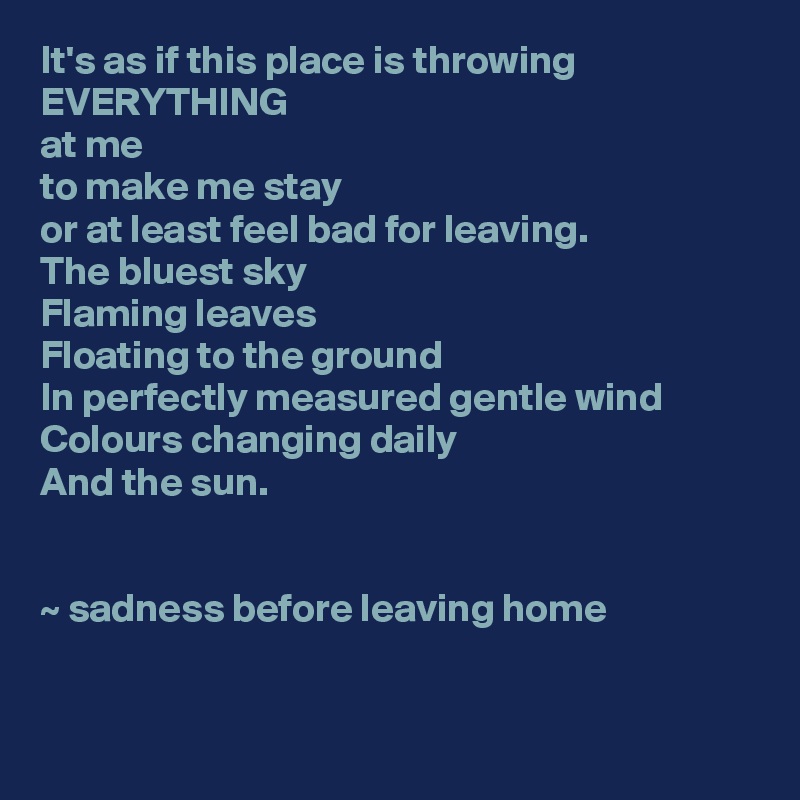 It's as if this place is throwing
EVERYTHING
at me
to make me stay
or at least feel bad for leaving.
The bluest sky
Flaming leaves
Floating to the ground
In perfectly measured gentle wind
Colours changing daily
And the sun.


~ sadness before leaving home


