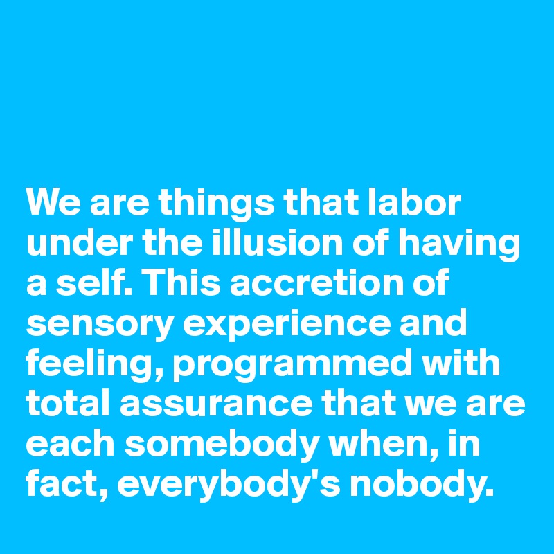 



We are things that labor under the illusion of having a self. This accretion of sensory experience and feeling, programmed with total assurance that we are each somebody when, in fact, everybody's nobody.