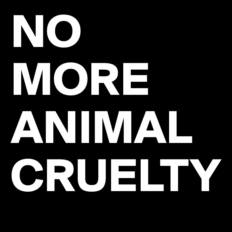 NO MORE ANIMAL
CRUELTY