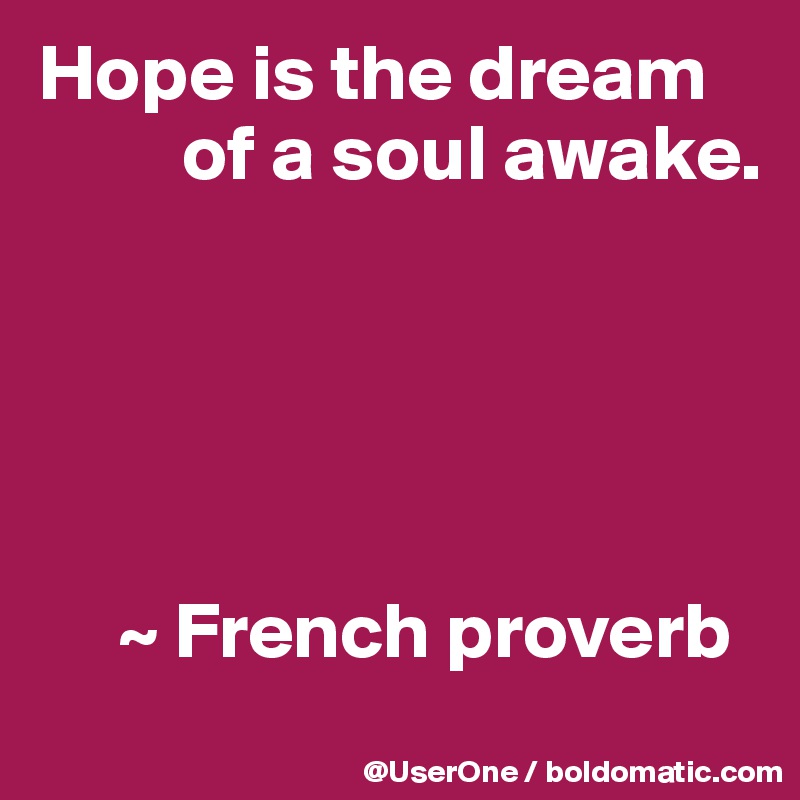 Hope is the dream
         of a soul awake.





     ~ French proverb