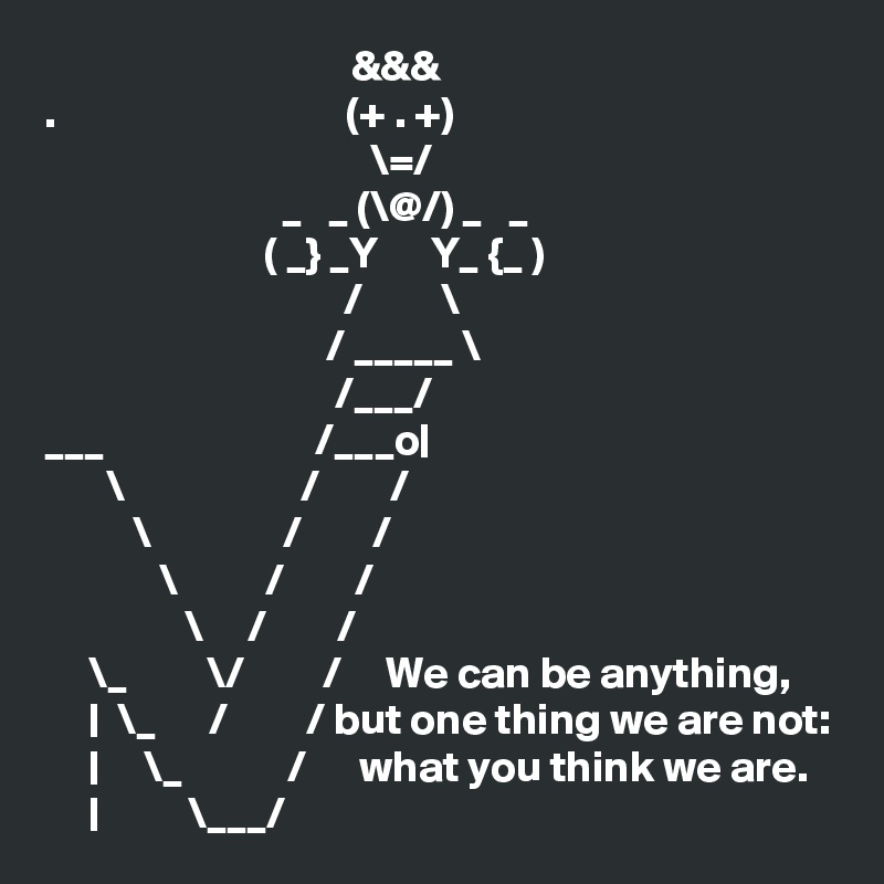                                    &&&
.                                 (+ . +)
                                     \=/
                           _   _ (\@/) _   _
                         ( _} _Y      Y_ {_ )
                                  /         \
                                / _____ \
                                 /___/           
___                        /___o|             
       \                    /        /             
          \               /        / 
             \          /        /    
                \     /        /  
     \_         \/         /     We can be anything,
     |  \_      /         / but one thing we are not:
     |     \_            /      what you think we are.
     |          \___/