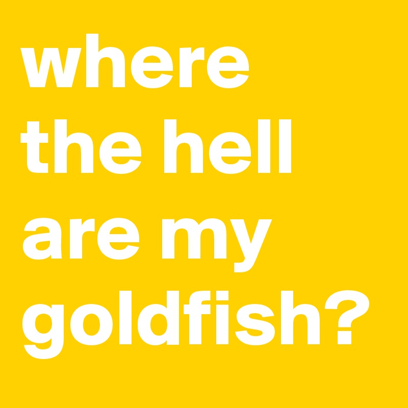 where the hell are my goldfish?