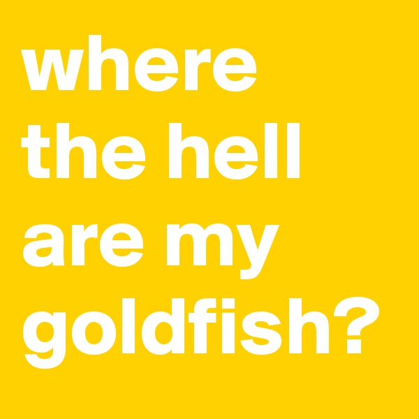 where the hell are my goldfish?