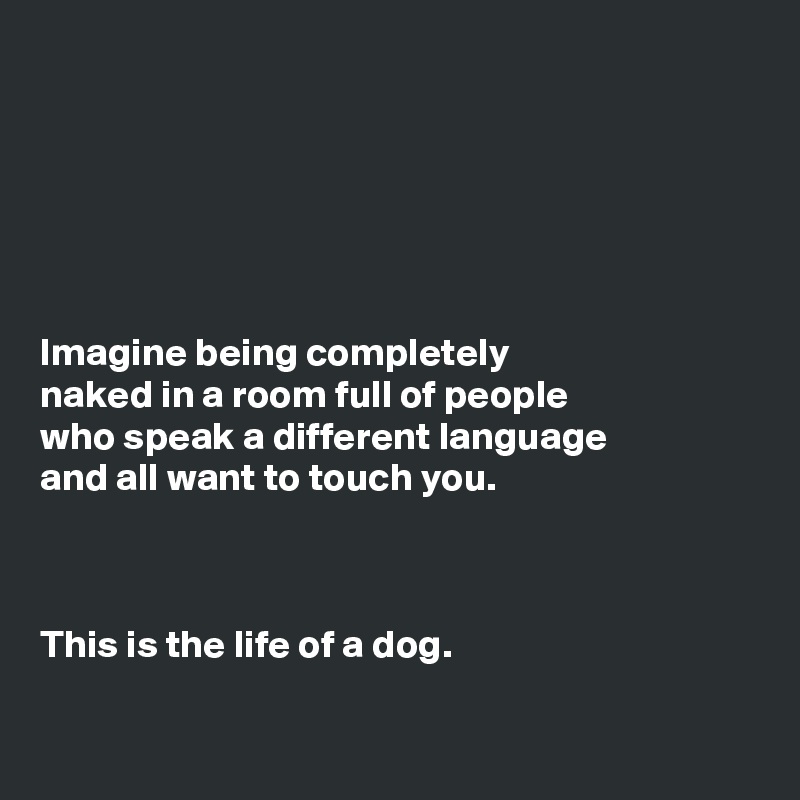 






Imagine being completely
naked in a room full of people
who speak a different language
and all want to touch you. 



This is the life of a dog.

