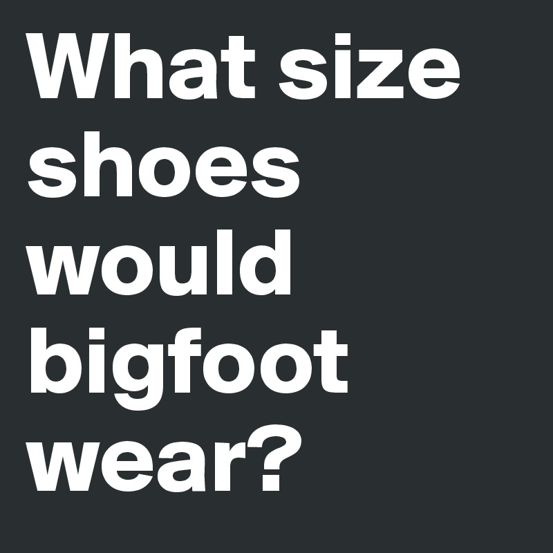 What size shoes would
bigfoot
wear?