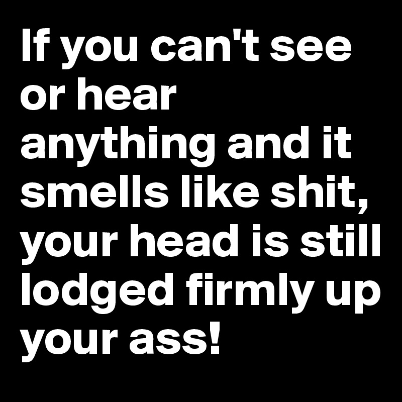If you can't see or hear anything and it smells like shit, your head is still lodged firmly up your ass!