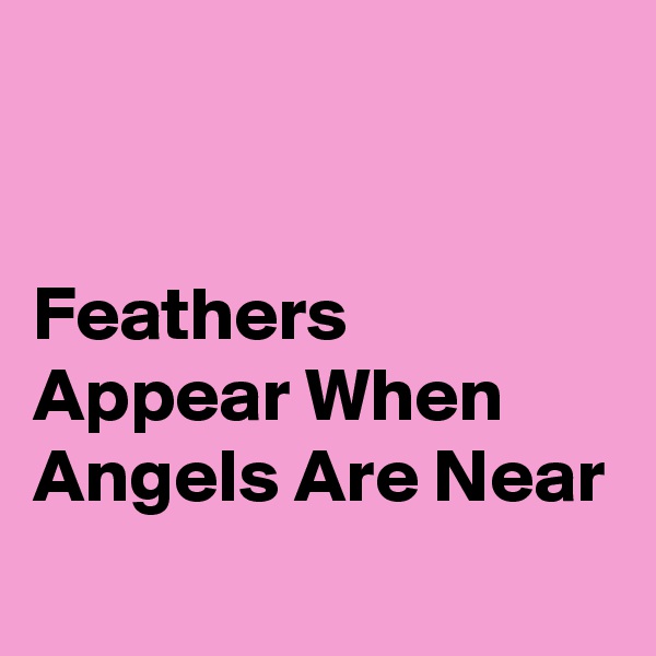 


Feathers Appear When Angels Are Near
