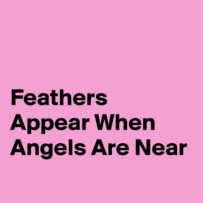 


Feathers Appear When Angels Are Near
