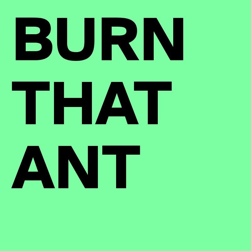 BURN THAT ANT