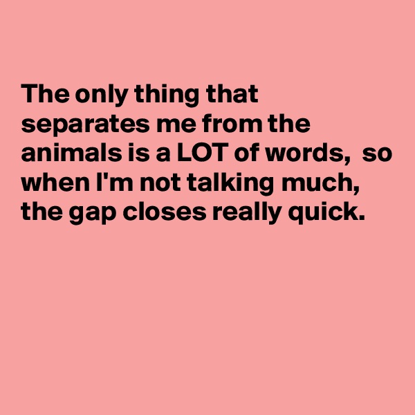

The only thing that separates me from the animals is a LOT of words,  so when I'm not talking much, the gap closes really quick.




