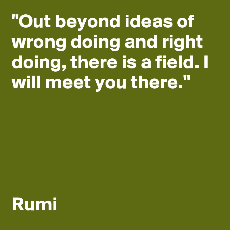 "Out beyond ideas of wrong doing and right doing, there is a field. I will meet you there."





Rumi