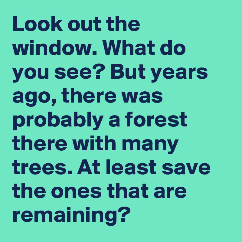 Look out the window. What do you see? But years ago, there was probably a forest there with many trees. At least save the ones that are remaining?