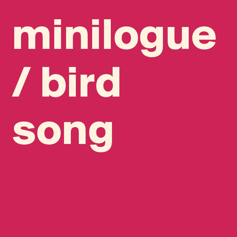 minilogue / bird song