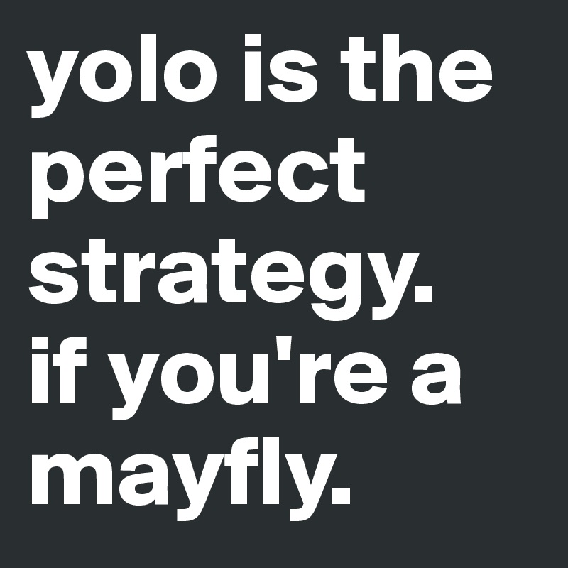 yolo is the perfect strategy.
if you're a mayfly.