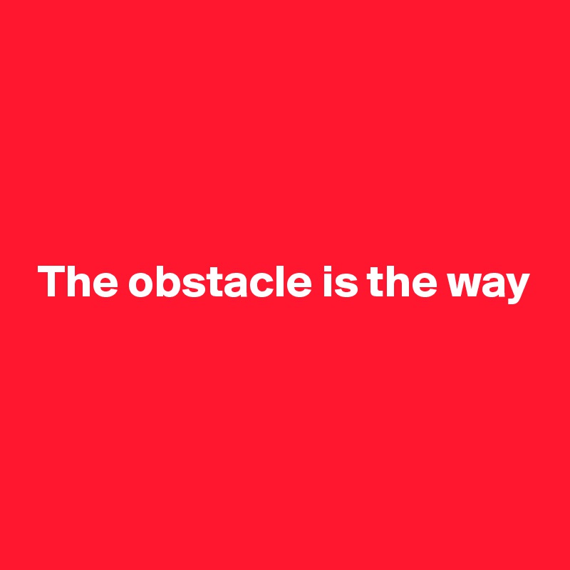 




 The obstacle is the way




