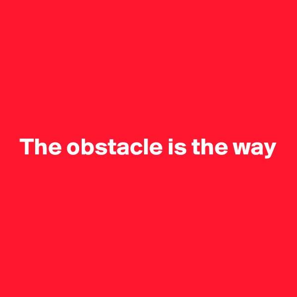 




 The obstacle is the way




