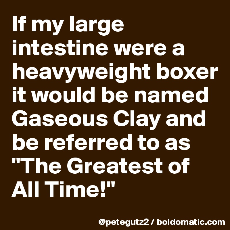 If my large intestine were a heavyweight boxer it would be named Gaseous Clay and be referred to as "The Greatest of All Time!"