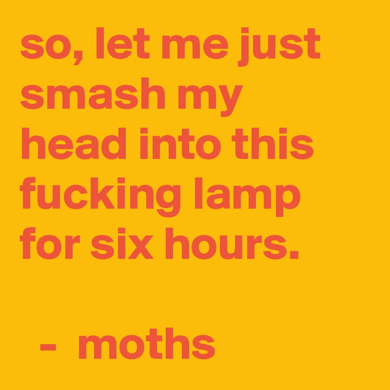 so, let me just smash my head into this fucking lamp for six hours.

  -  moths