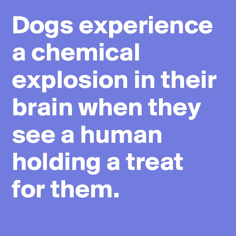 Dogs experience a chemical explosion in their brain when they see a human holding a treat for them.
