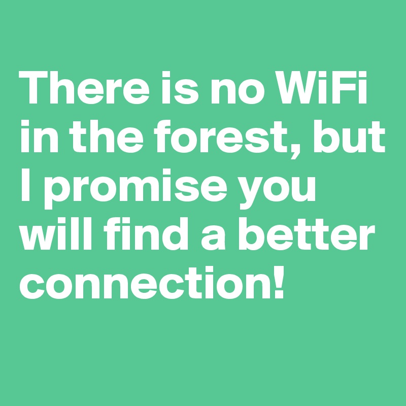 
There is no WiFi in the forest, but I promise you will find a better connection!
