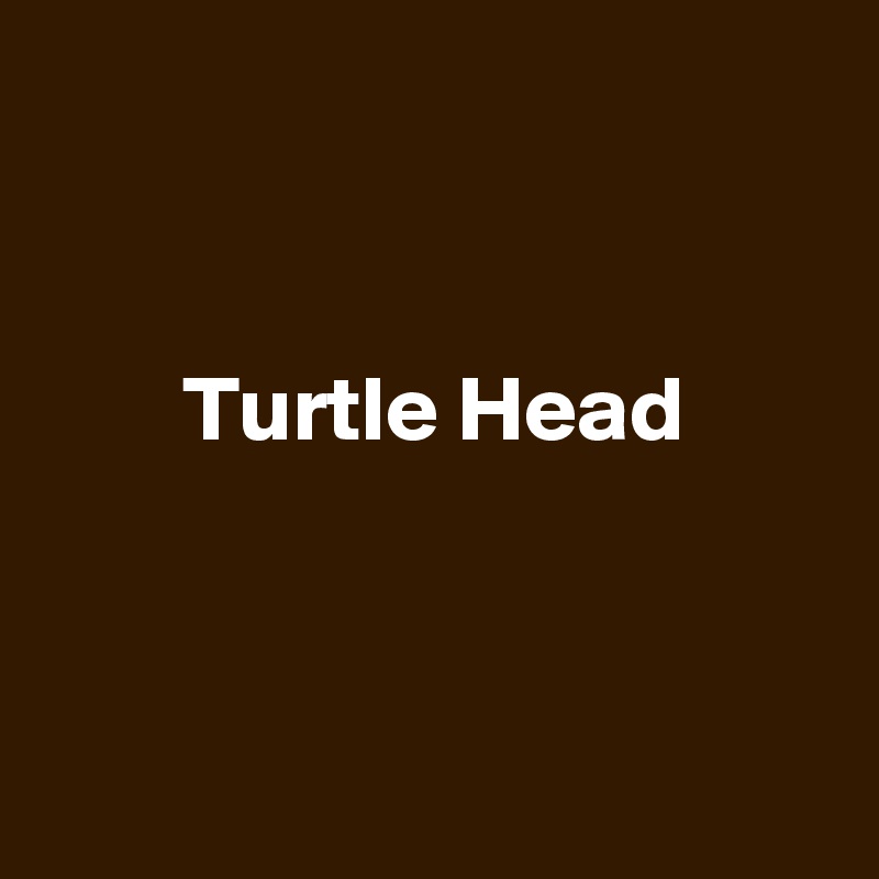 


Turtle Head




