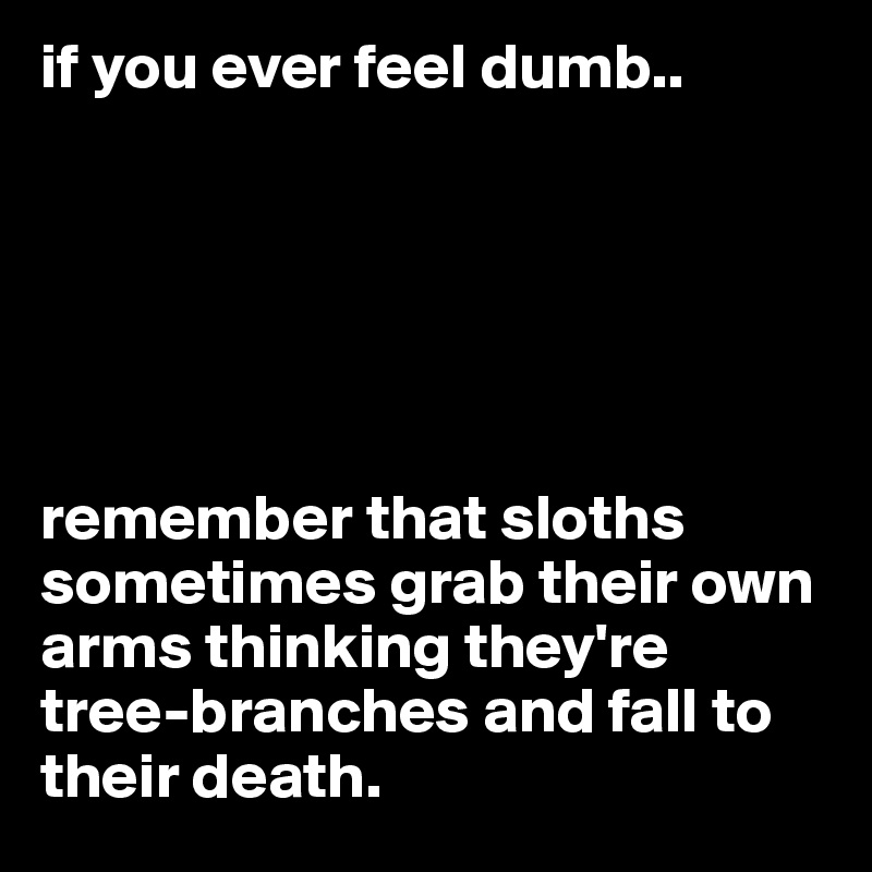 if you ever feel dumb..






remember that sloths sometimes grab their own arms thinking they're tree-branches and fall to their death.