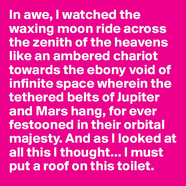 In awe, I watched the waxing moon ride across the zenith of the heavens like an ambered chariot towards the ebony void of infinite space wherein the tethered belts of Jupiter and Mars hang, for ever festooned in their orbital majesty. And as I looked at all this I thought... I must put a roof on this toilet.