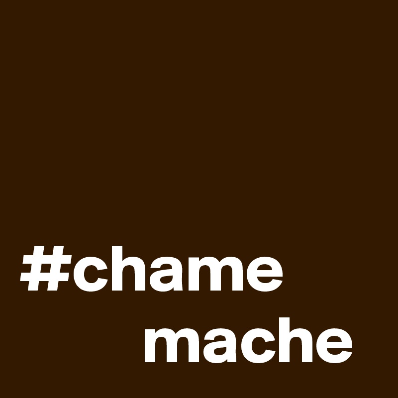 


#chame 
         mache