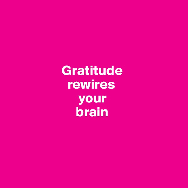 



                   Gratitude 
                     rewires 
                         your 
                        brain



