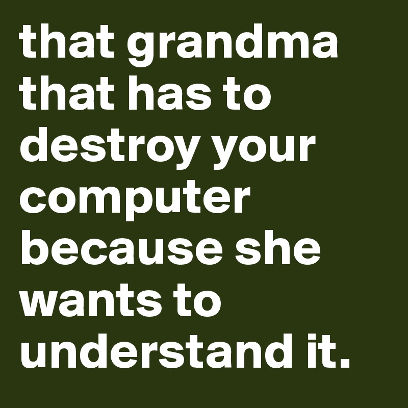 that grandma that has to destroy your computer because she wants to understand it.