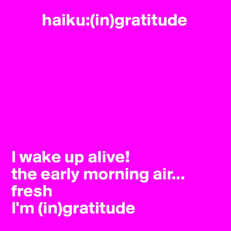          haiku:(in)gratitude
 



 


I wake up alive!
the early morning air... fresh      
I'm (in)gratitude