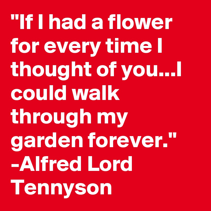 "If I had a flower for every time I thought of you...I could walk through my garden forever." -Alfred Lord Tennyson