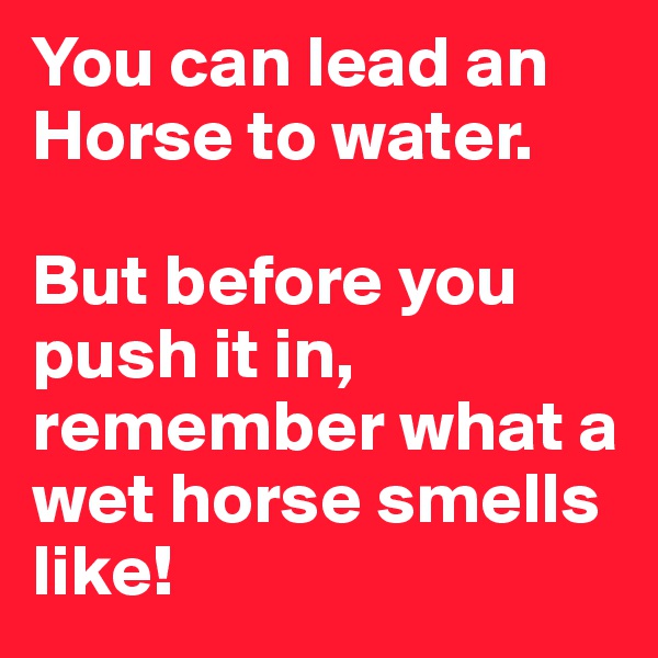 You can lead an Horse to water.

But before you push it in, remember what a wet horse smells like!
