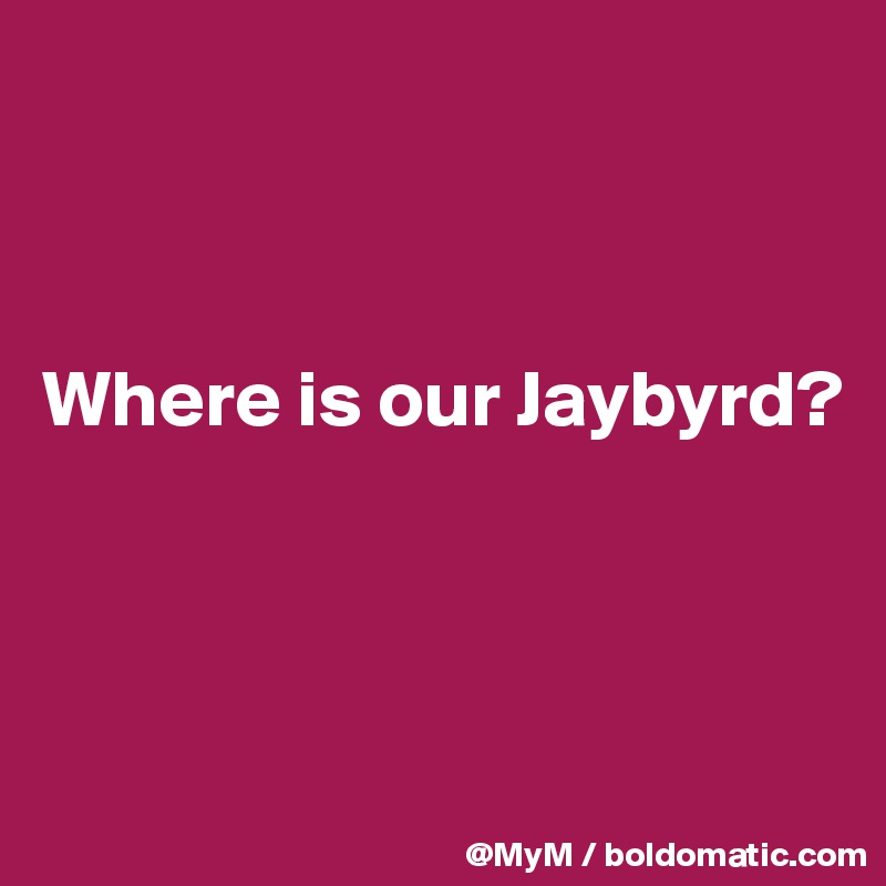 



Where is our Jaybyrd?



